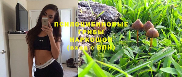 spice Нея