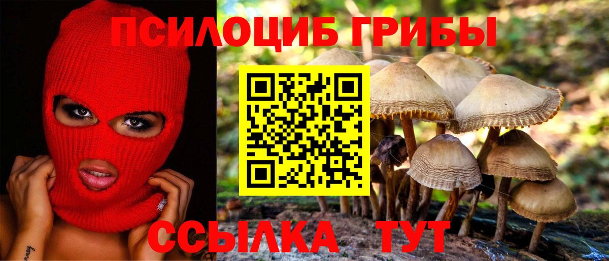 Галлюциногенные грибы Psilocybe  Вход с VPN  Рыбинск 