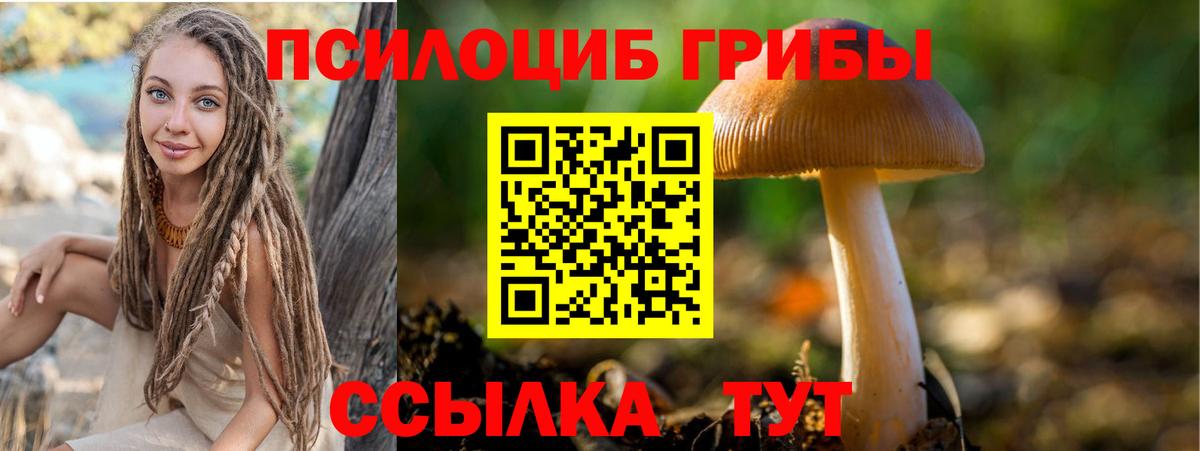 Галлюциногенные грибы прущие грибы Рыбинск