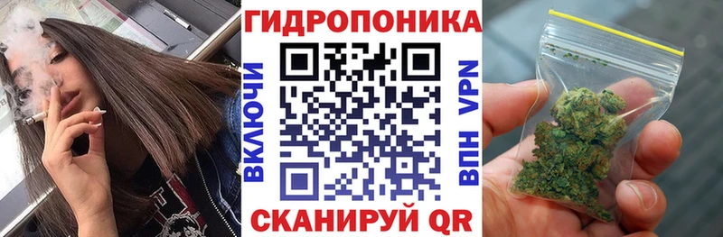 закладка  Рыбинск  hydra ссылка  Конопля THC 21% 